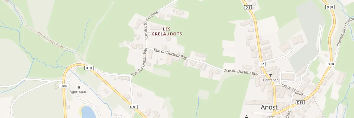 Plan du 21 Rue du Docteur Roy à Anost