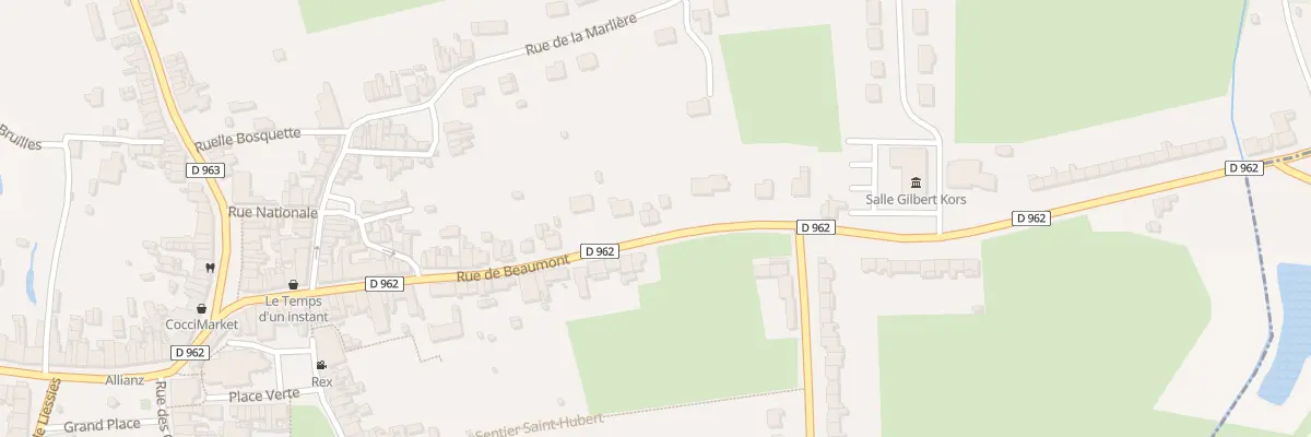 Plan du 48 Rue de Beaumont à Solre-le-Château