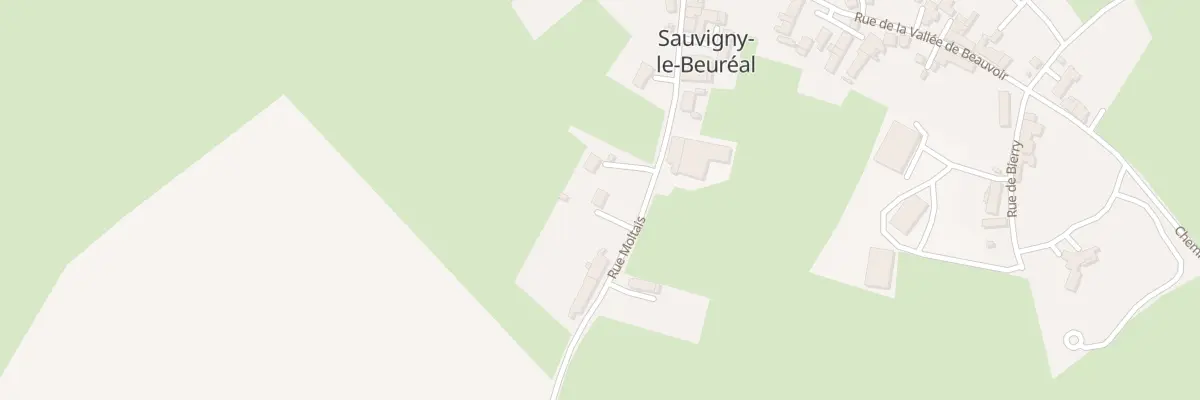 Plan du 4 Rue des Moltais à Sauvigny-le-Beuréal