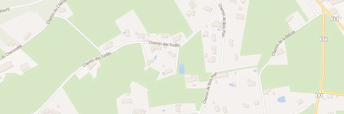 Plan du 1530 Che des Forêts à Saint-Nizier-sous-Charlieu
