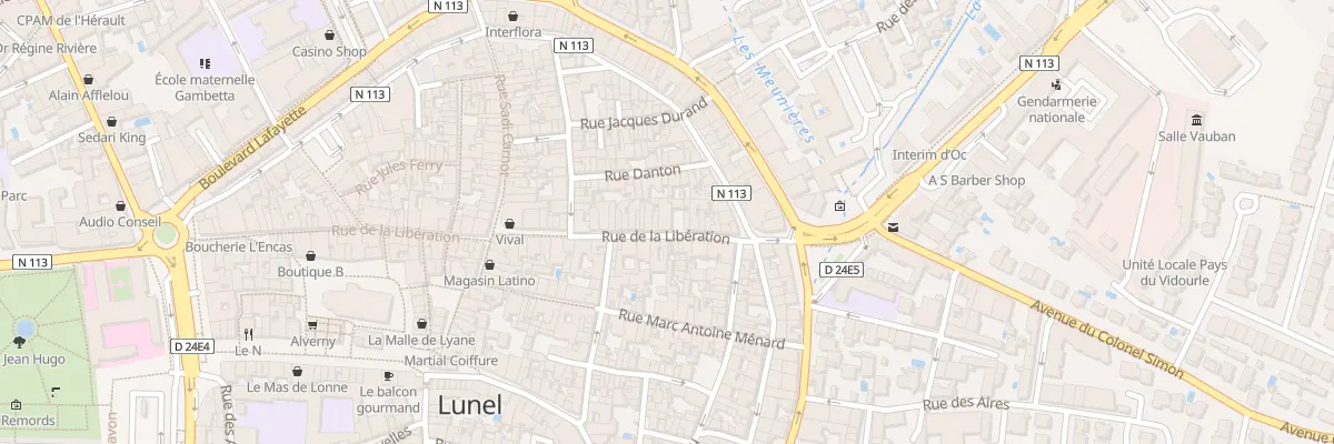 Plan du 366 Rue de la Libération à Lunel