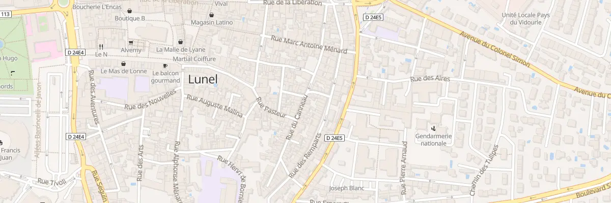 Plan du 96 Rue du Canneau à Lunel
