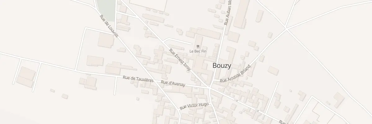 Plan du 10 Rue Ernest Irroy à Bouzy