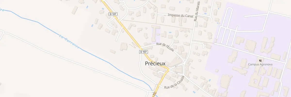 Plan du 100 Rue des Raffards à Précieux