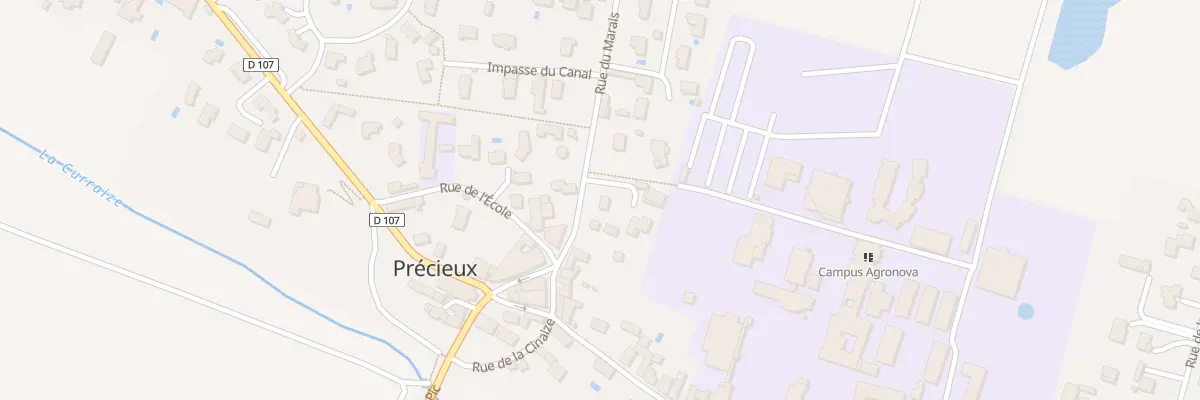 Plan du 102 Rue du Marais à Précieux