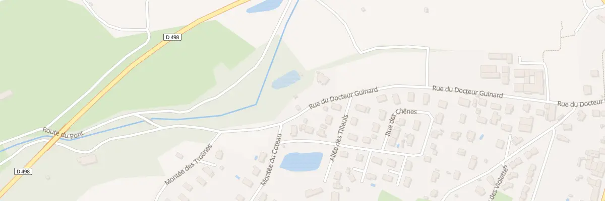 Plan du 42 Rue du Docteur Guinard à Saint-Marcellin-en-Forez