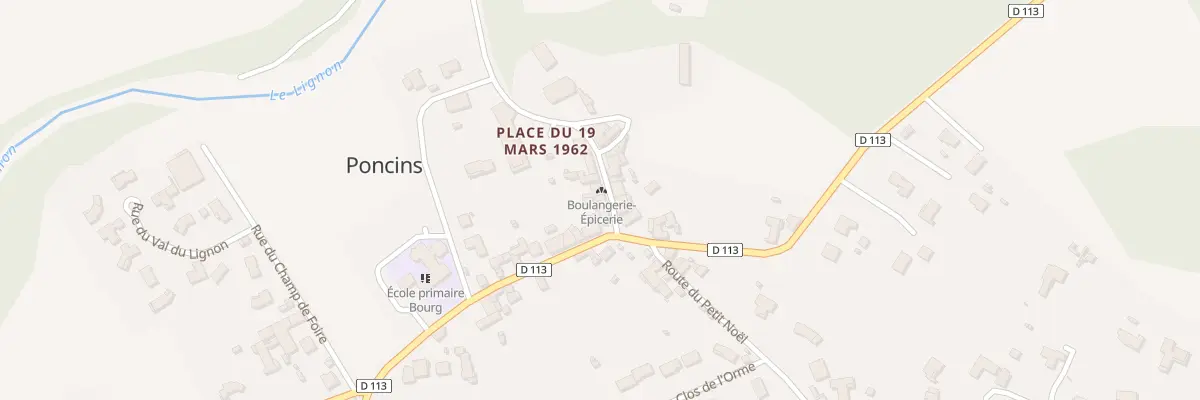 Plan du 29 Rue du Lignon à Poncins