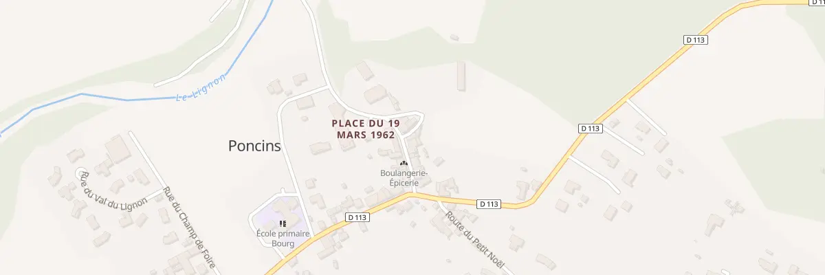 Plan du 64 Rue du Lignon à Poncins