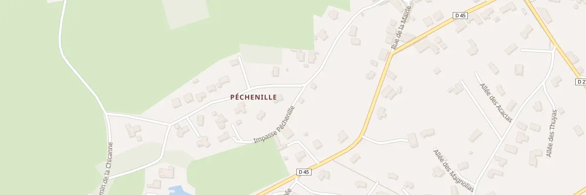 Plan du 199 Rue de Pechenille à Pradines