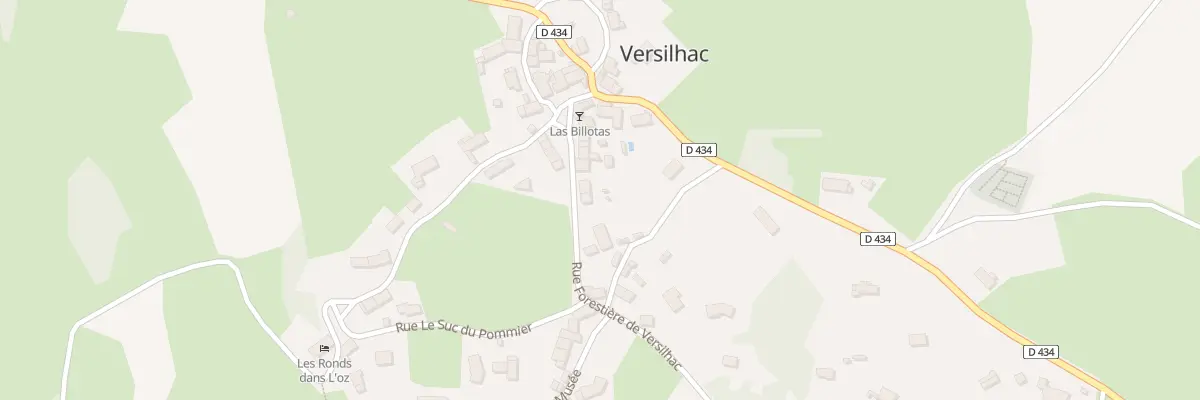 Plan du 105 Rue Forestiere de Versilhac à Yssingeaux