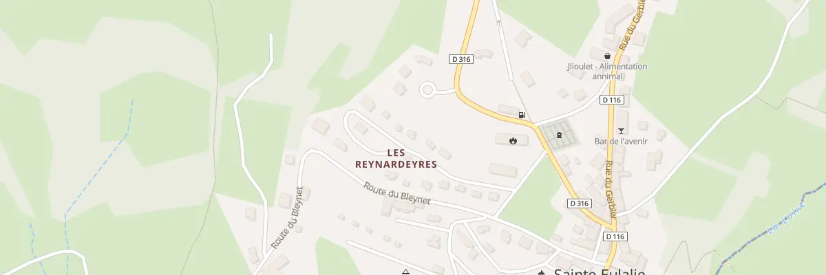 Plan du 5561 Les Reynardeyres à Sainte-Eulalie