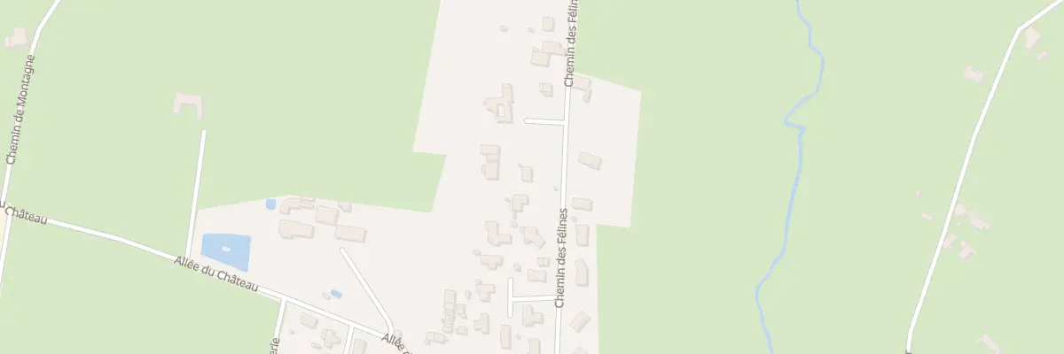 Plan du 751 Che de Félines à Balbigny