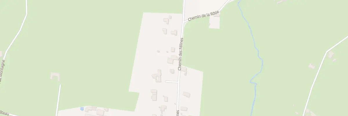 Plan du 861 Che de Félines à Balbigny