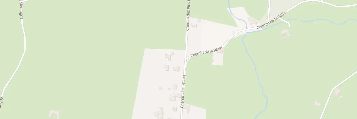 Plan du 967 Che de Félines à Balbigny