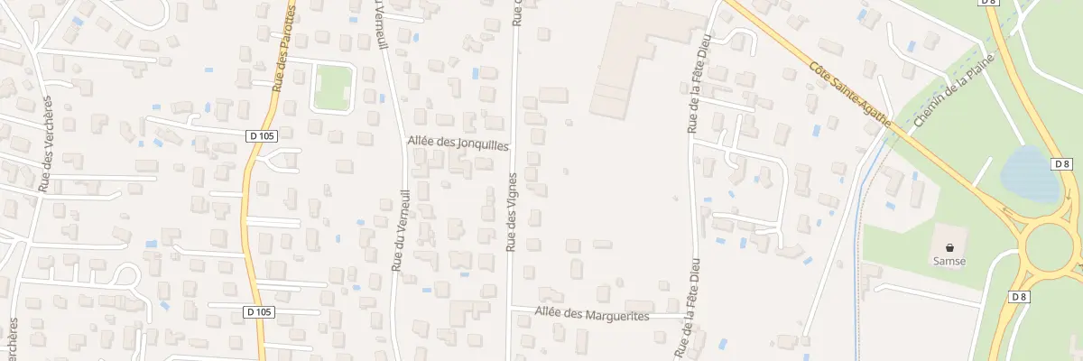 Plan du 21 Rue des Vignes à Sury-le-Comtal