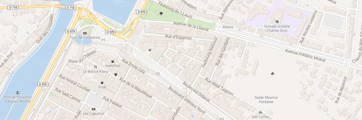 Plan du 1B Rue du Gal Chanzy à Aigues-Mortes