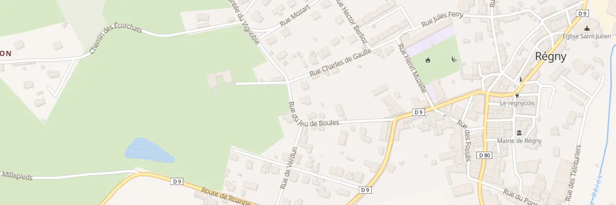 Plan du 190 Rue du Jeu de Boules à Régny