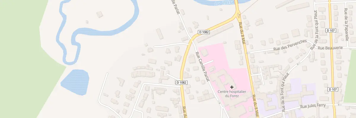 Plan du 29 Rue du Montal à Feurs