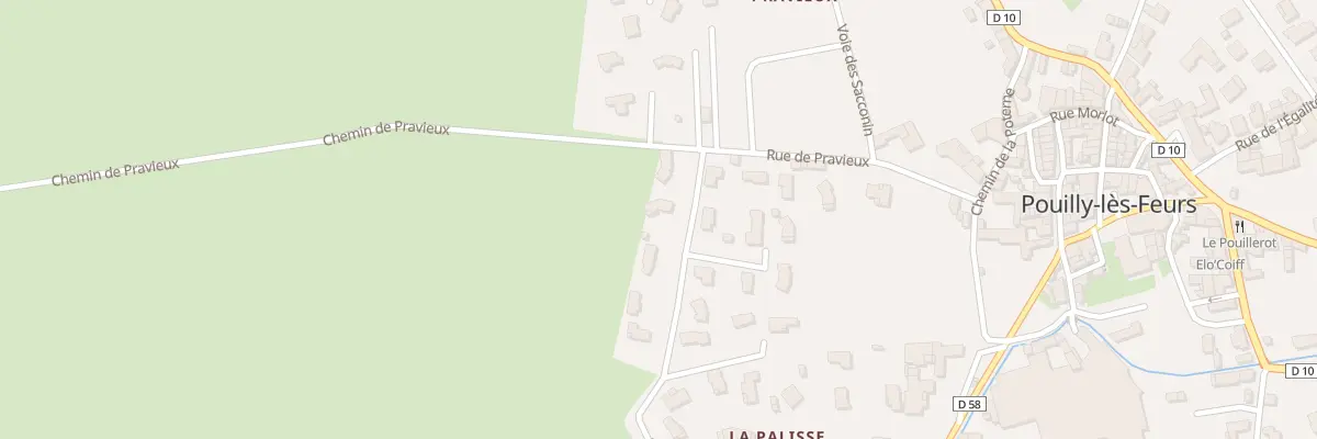 Plan du 66 Rue de la Palisse à Pouilly-lès-Feurs