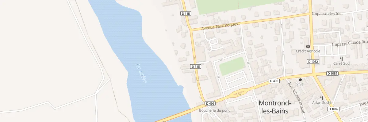 Plan du 117 Rue de la Loire à Montrond-les-Bains