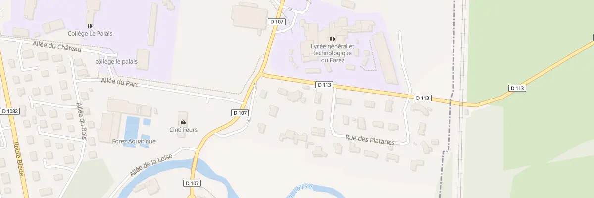 Plan du 4 Rte de Salvizinet à Feurs