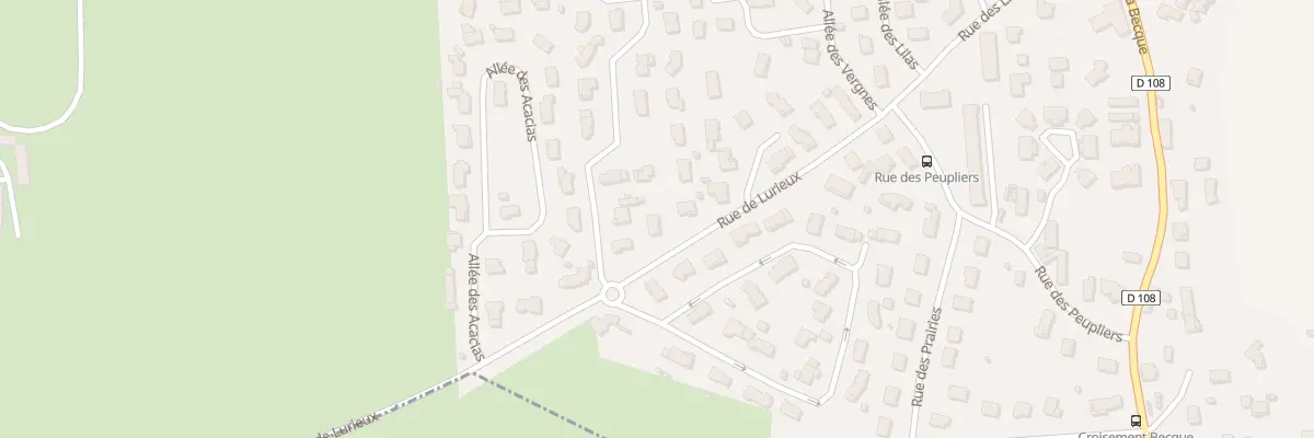 Plan du 12 Rue de Lurieu à Saint-Cyprien