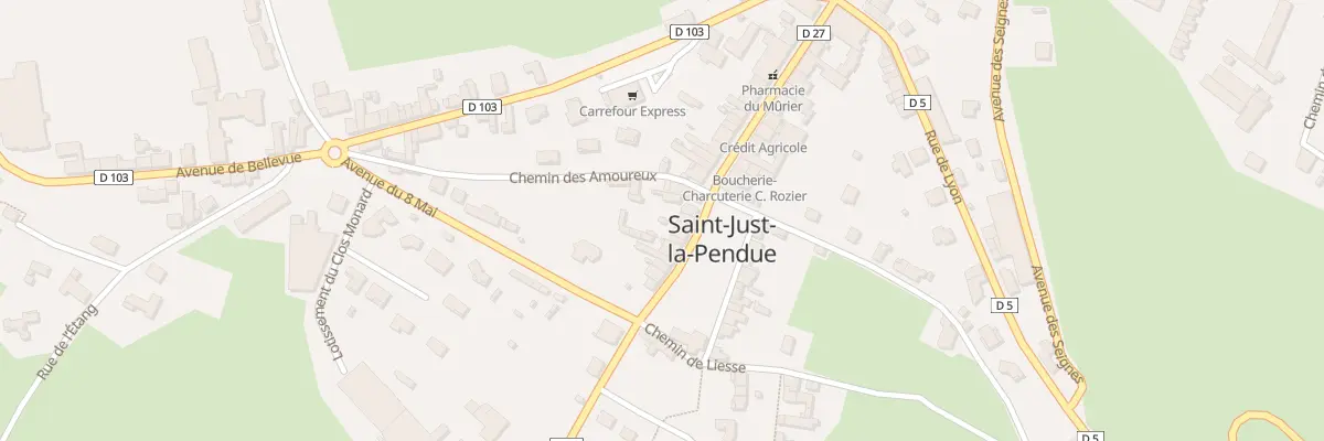 Plan du 203 Rue du Onze Novembre à Saint-Just-la-Pendue