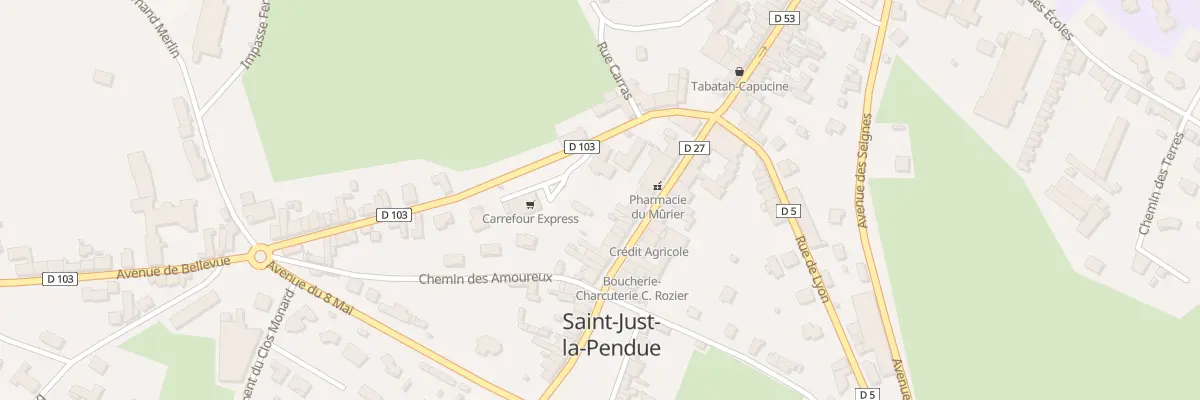 Plan du 105 Rue du Onze Novembre à Saint-Just-la-Pendue