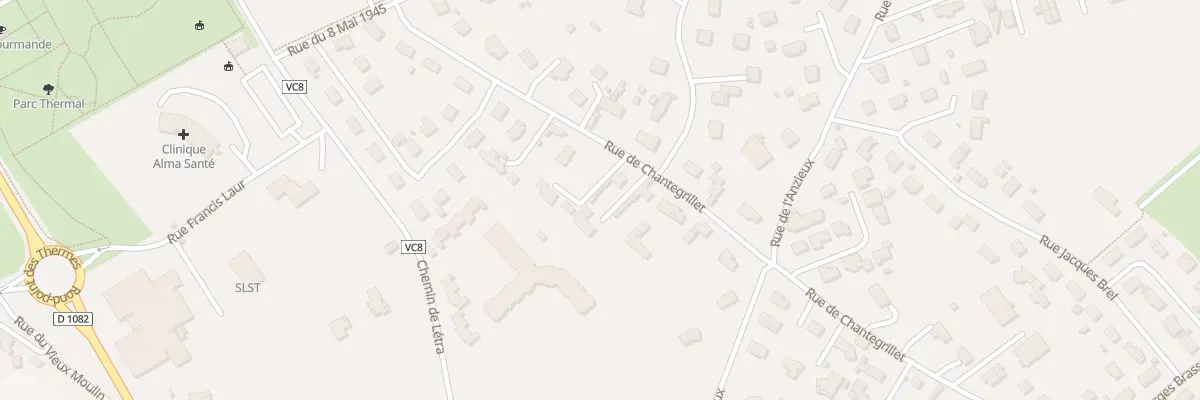 Plan du 250 Rue de Chantegrillet à Montrond-les-Bains