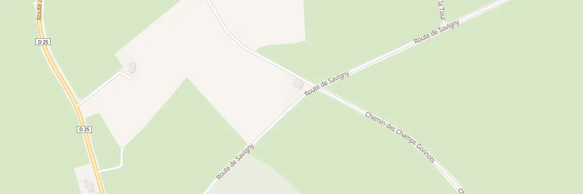 Plan du 419 Rte de Savigny à Champlecy