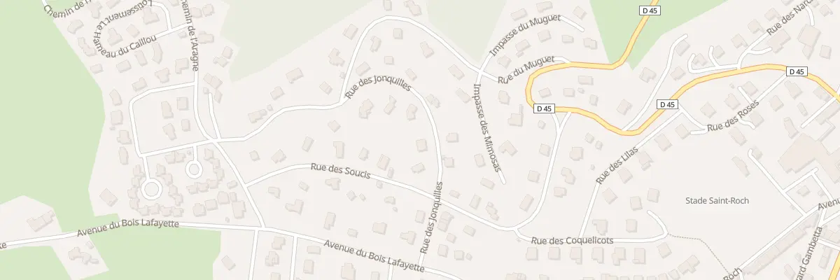 Plan du 7 Rue des Jonquilles à Saint-Didier-en-Velay