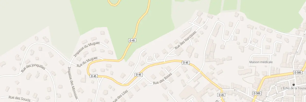Plan du 3 Rue des Narcisses à Saint-Didier-en-Velay