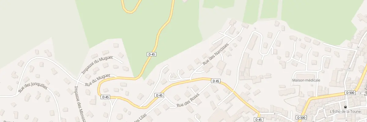 Plan du 5 Rue des Narcisses à Saint-Didier-en-Velay