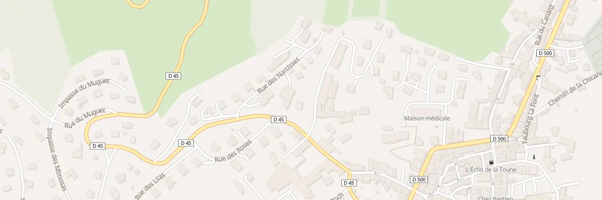 Plan du 4 Rue des Narcisses à Saint-Didier-en-Velay