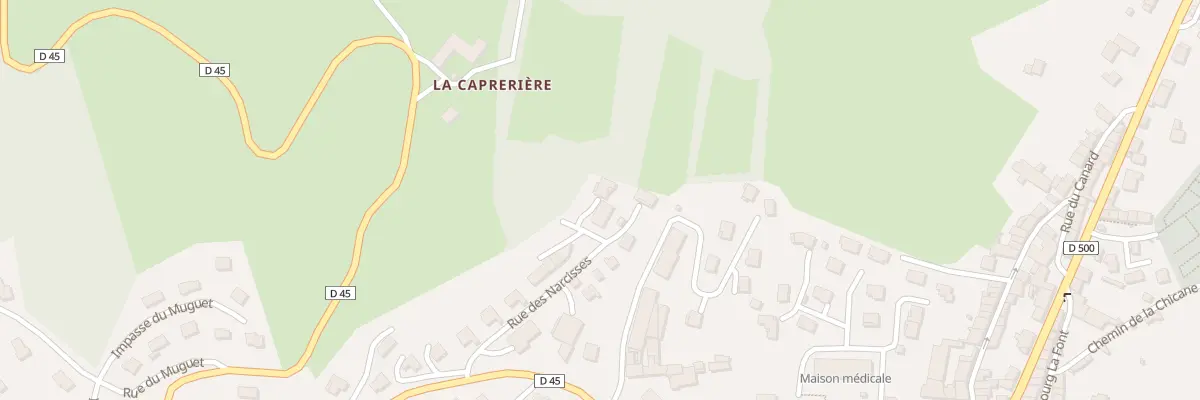Plan du 16 Rue des Narcisses à Saint-Didier-en-Velay