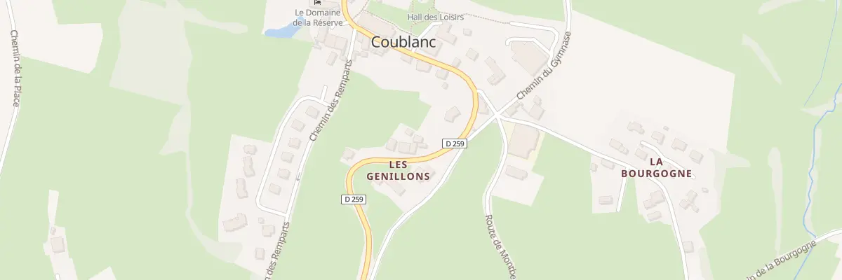 Plan du 1858 Rte d’Arcinges à Coublanc