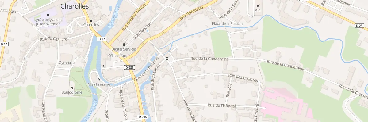 Plan du 2 Rue de la Condemine à Charolles