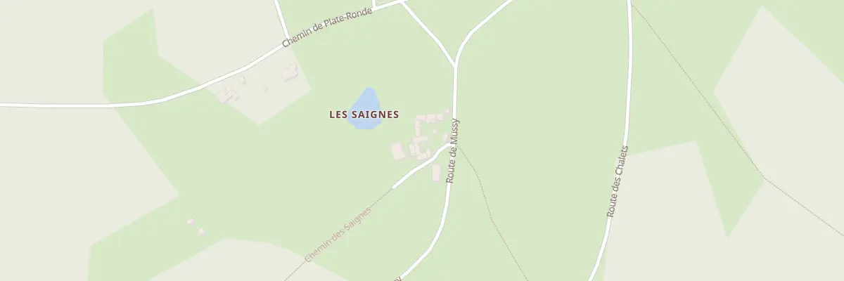 Plan du 5305 Les Saignes à Rozier-en-Donzy