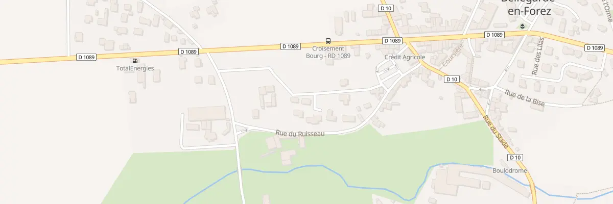Plan du 117 Rue des Merisiers à Bellegarde-en-Forez