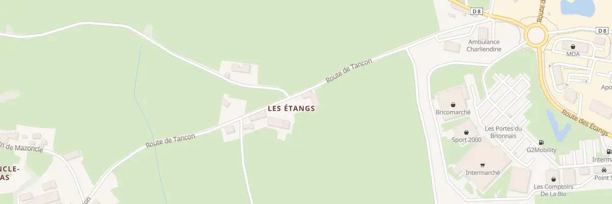 Plan du 339 Rte de Tancon à Chauffailles
