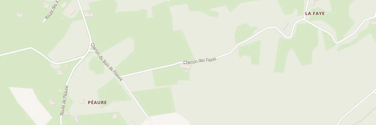 Plan du 176 Che des Fayes au Chambon-sur-Lignon