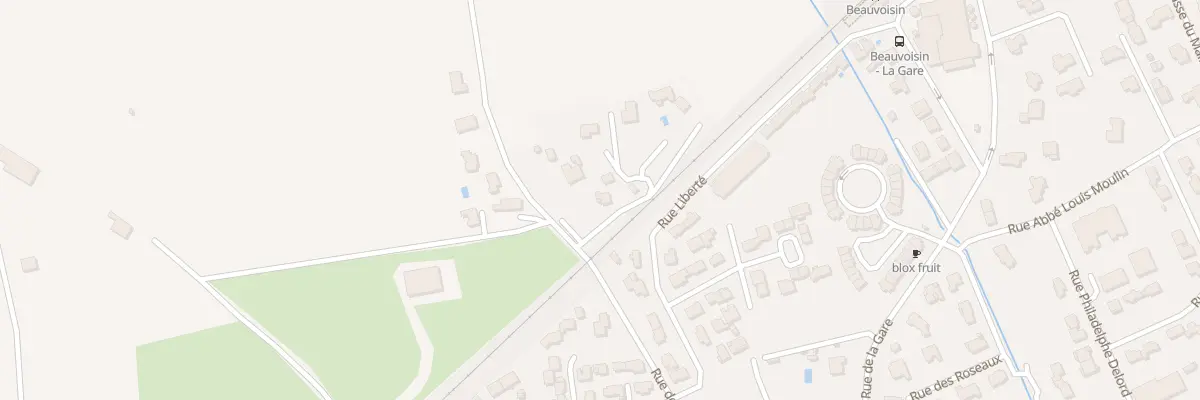 Plan du 21 Rue de Memiere à Beauvoisin