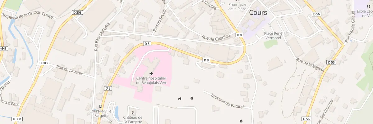Plan du 225 Rue de Thizy à Cours