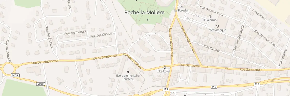 Plan du 3 Rue du Colonel Arnaud Beltrame à Roche-la-Molière