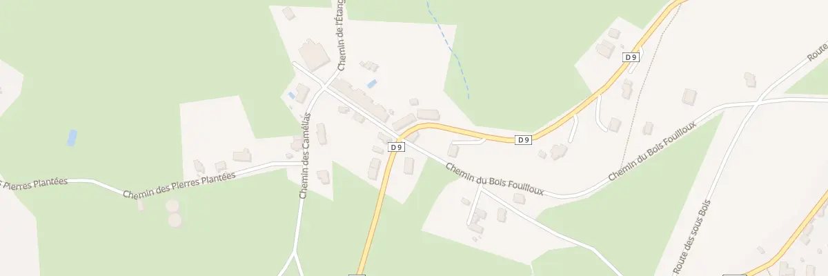Plan du 460 Che du Bois Fouilloux à Thizy-les-Bourgs