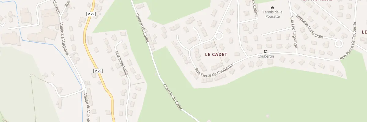 Plan du 65 Rue Pierre de Coubertin au Chambon-Feugerolles