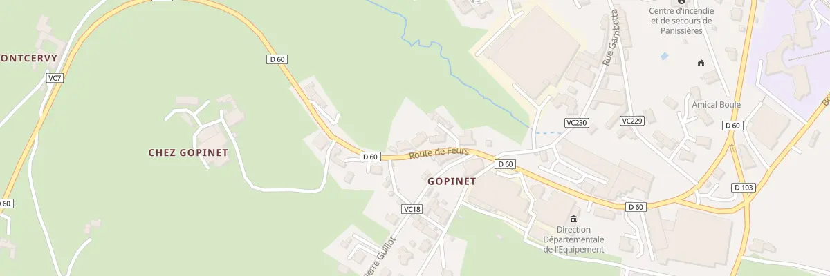 Plan du 690 Rte de Feurs à Panissières