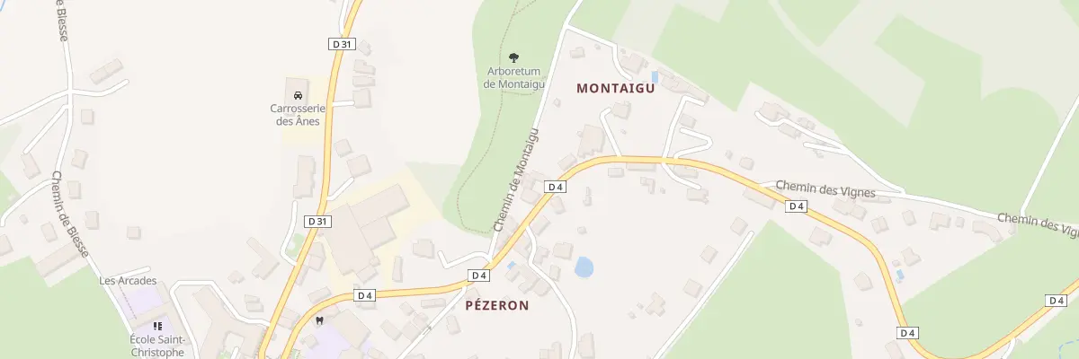 Plan du 423 Rte des Echarmeaux à Belmont-de-la-Loire