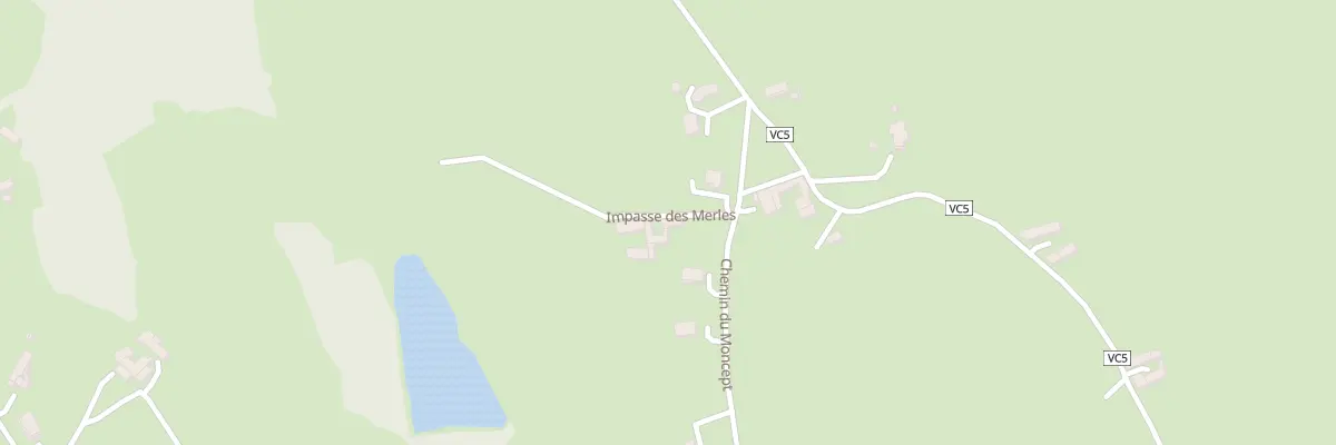 Plan du 49 Imp des Merles à Panissières