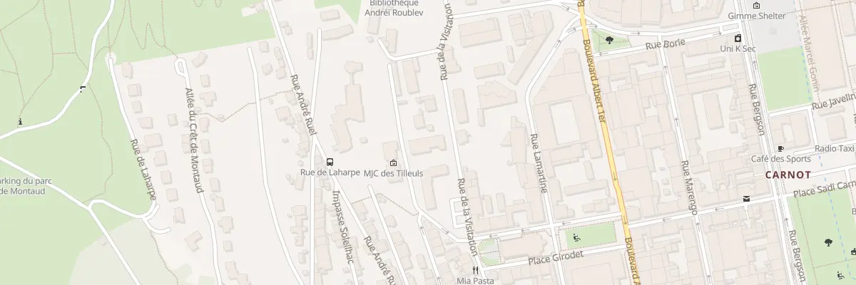 Plan du 17 Rue de la Visitation à Saint-Étienne